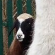 IMG-20151130-WA0005 1